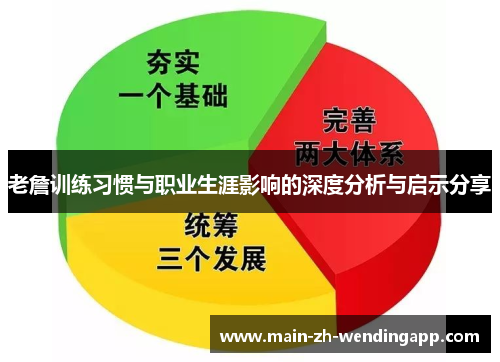 老詹训练习惯与职业生涯影响的深度分析与启示分享