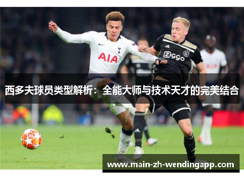 西多夫球员类型解析:全能大师与技术天才的完美结合 西多夫球员类型解析:全能大师与技术天才的完美结合