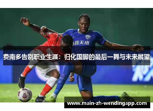 费南多告别职业生涯:归化国脚的最后一舞与未来展望 费南多告别职业生涯:归化国脚的最后一舞与未来展望