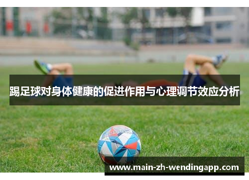 踢足球对身体健康的促进作用与心理调节效应分析
