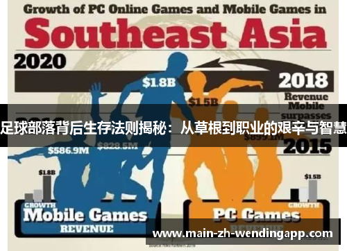 足球部落背后生存法则揭秘:从草根到职业的艰辛与智慧 足球部落背后生存法则揭秘:从草根到职业的艰辛与智慧