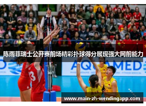 陈雨菲瑞士公开赛前场精彩扑球得分展现强大网前能力 陈雨菲瑞士公开赛前场精彩扑球得分展现强大网前能力