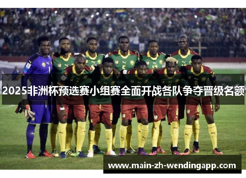 2025非洲杯预选赛小组赛全面开战各队争夺晋级名额
