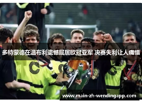 多特蒙德在温布利遗憾屈居欧冠亚军 决赛失利让人痛惜