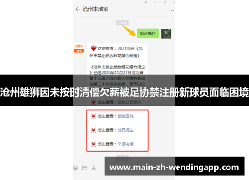沧州雄狮因未按时清偿欠薪被足协禁注册新球员面临困境
