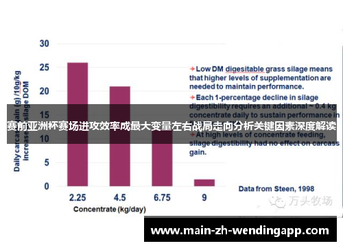 赛前亚洲杯赛场进攻效率成最大变量左右战局走向分析关键因素深度解读 赛前亚洲杯赛场进攻效率成最大变量左右战局走向分析关键因素深度解读
